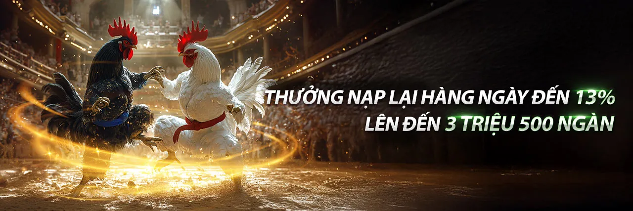 Hình ảnh đá gà trực tuyến tại qh8888 Login